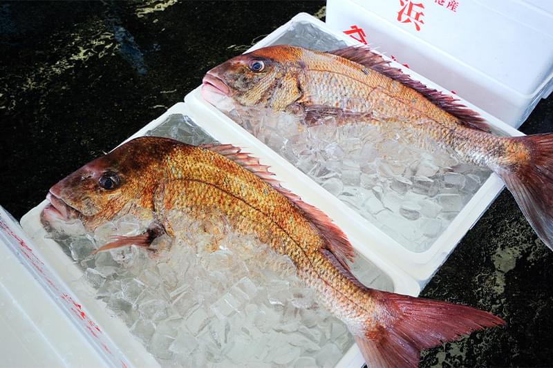 お問い合わせの流れ